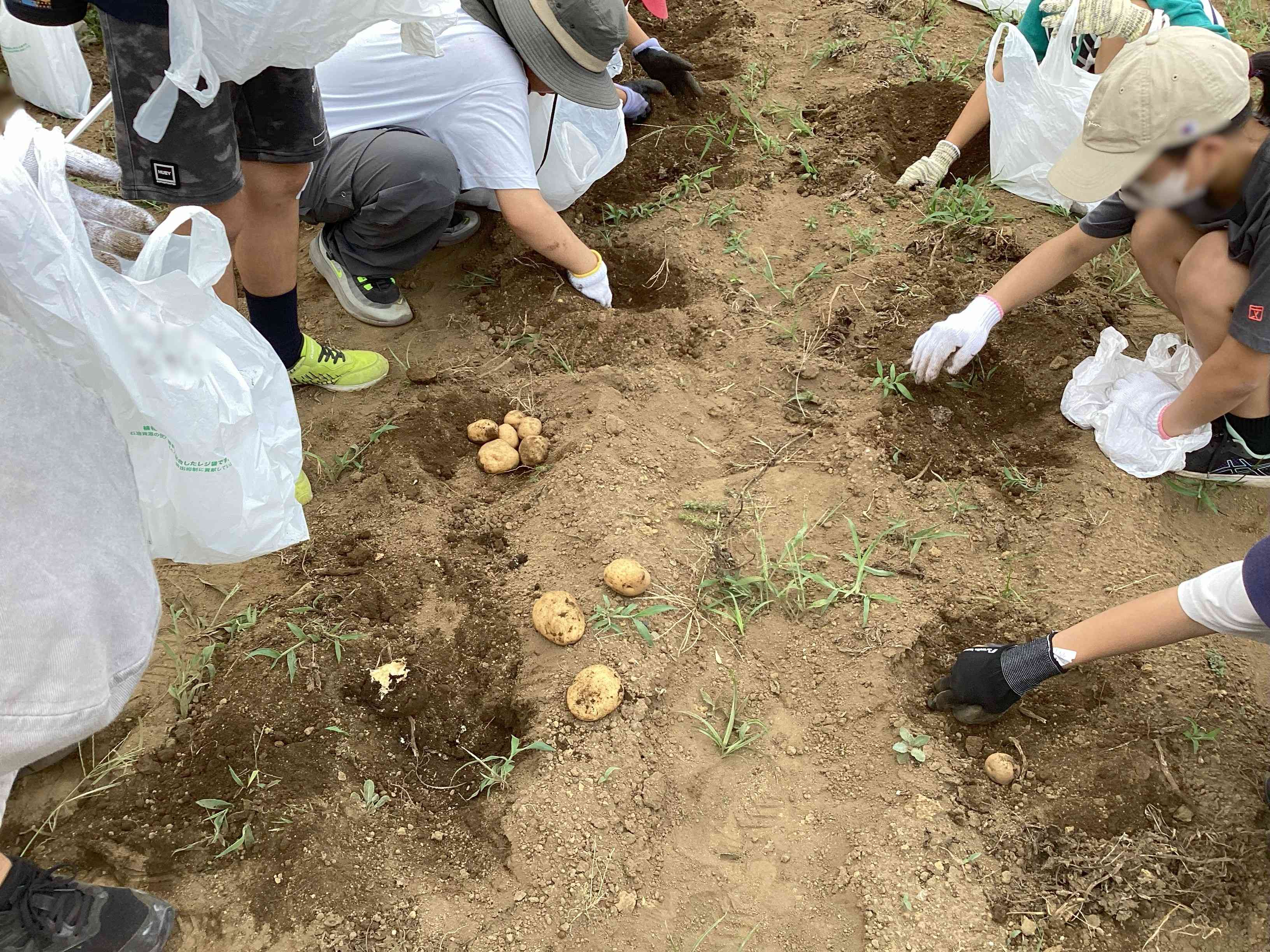 20250707_06_学校農園_03