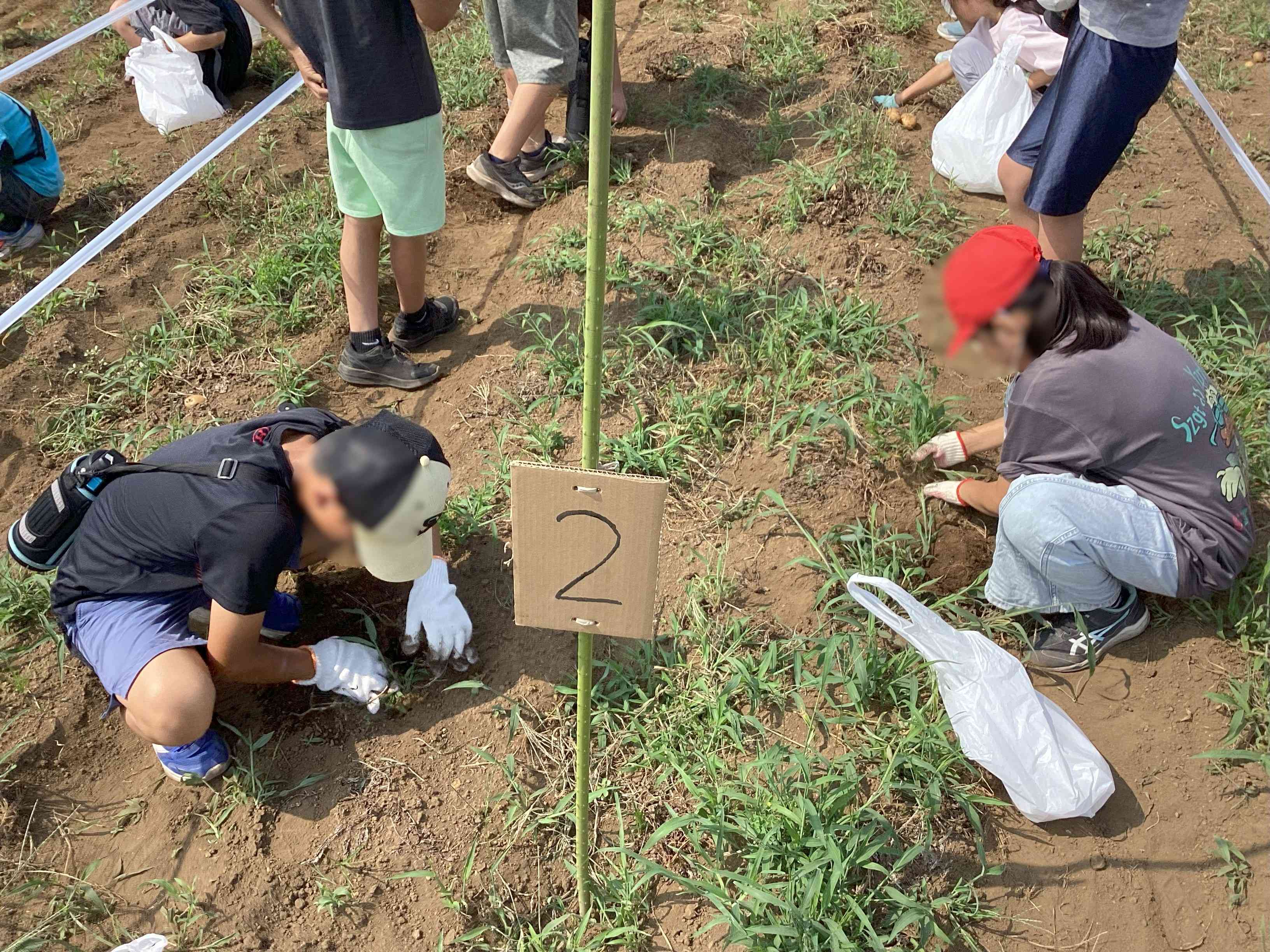 20250708_05_学校農園_02