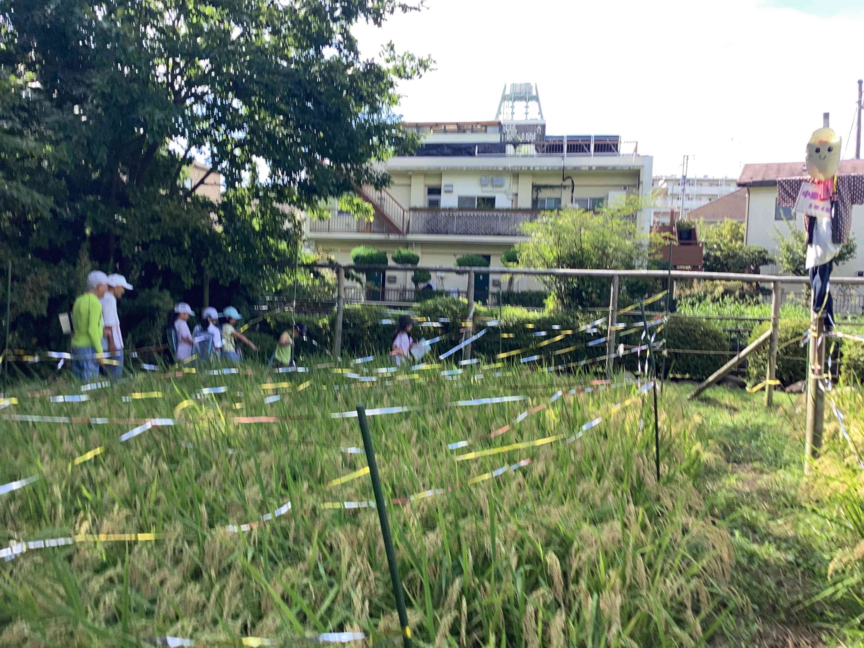 20250911_03_丸池探検隊_03