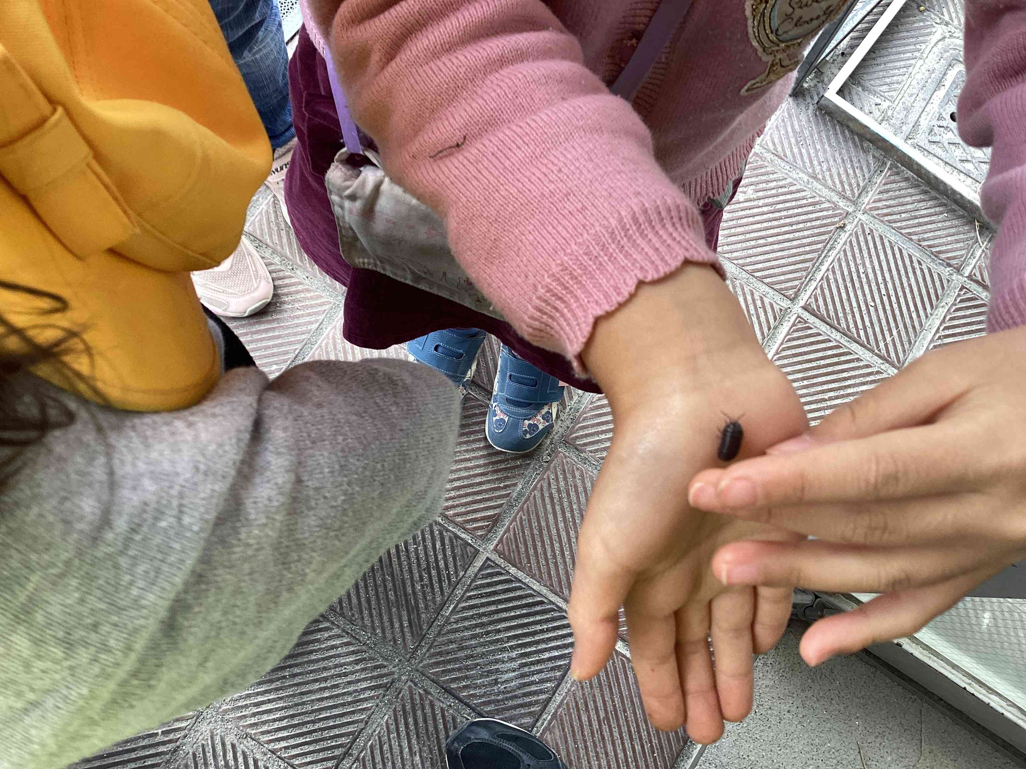 20251113_01_生活科_02