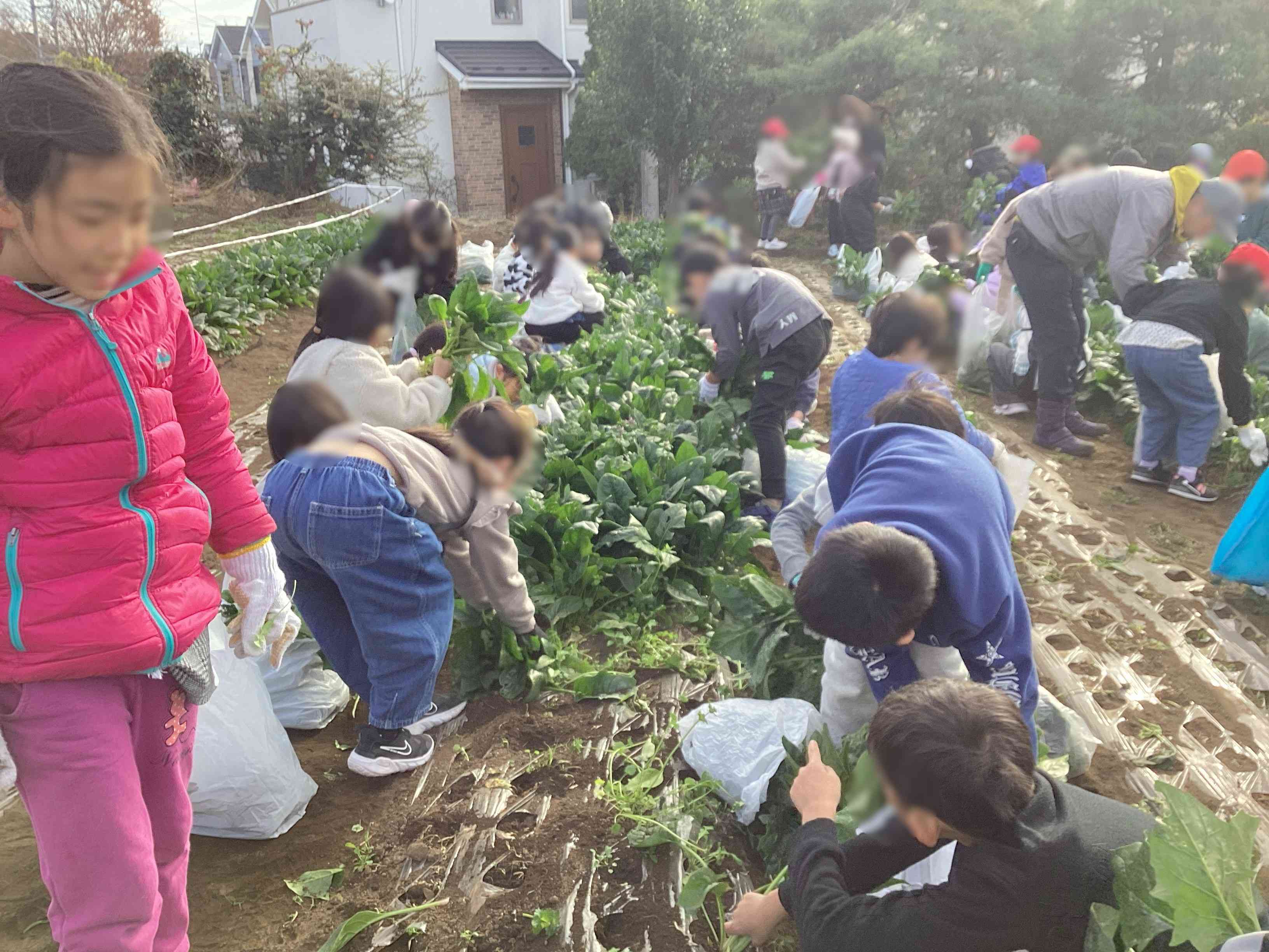 20251209_02_農園_03