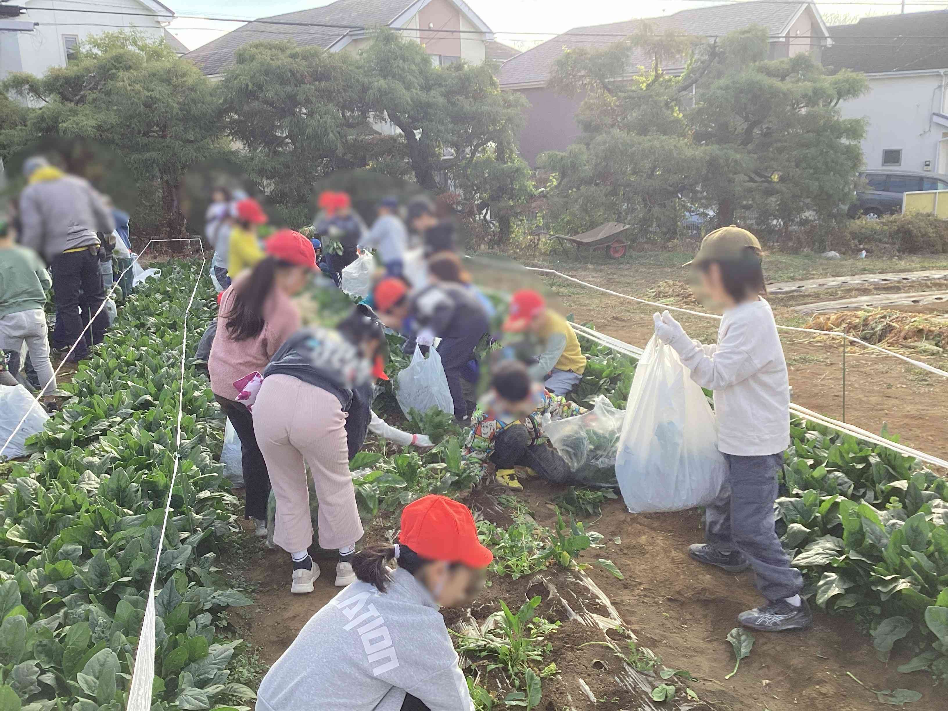 20251209_02_農園_04