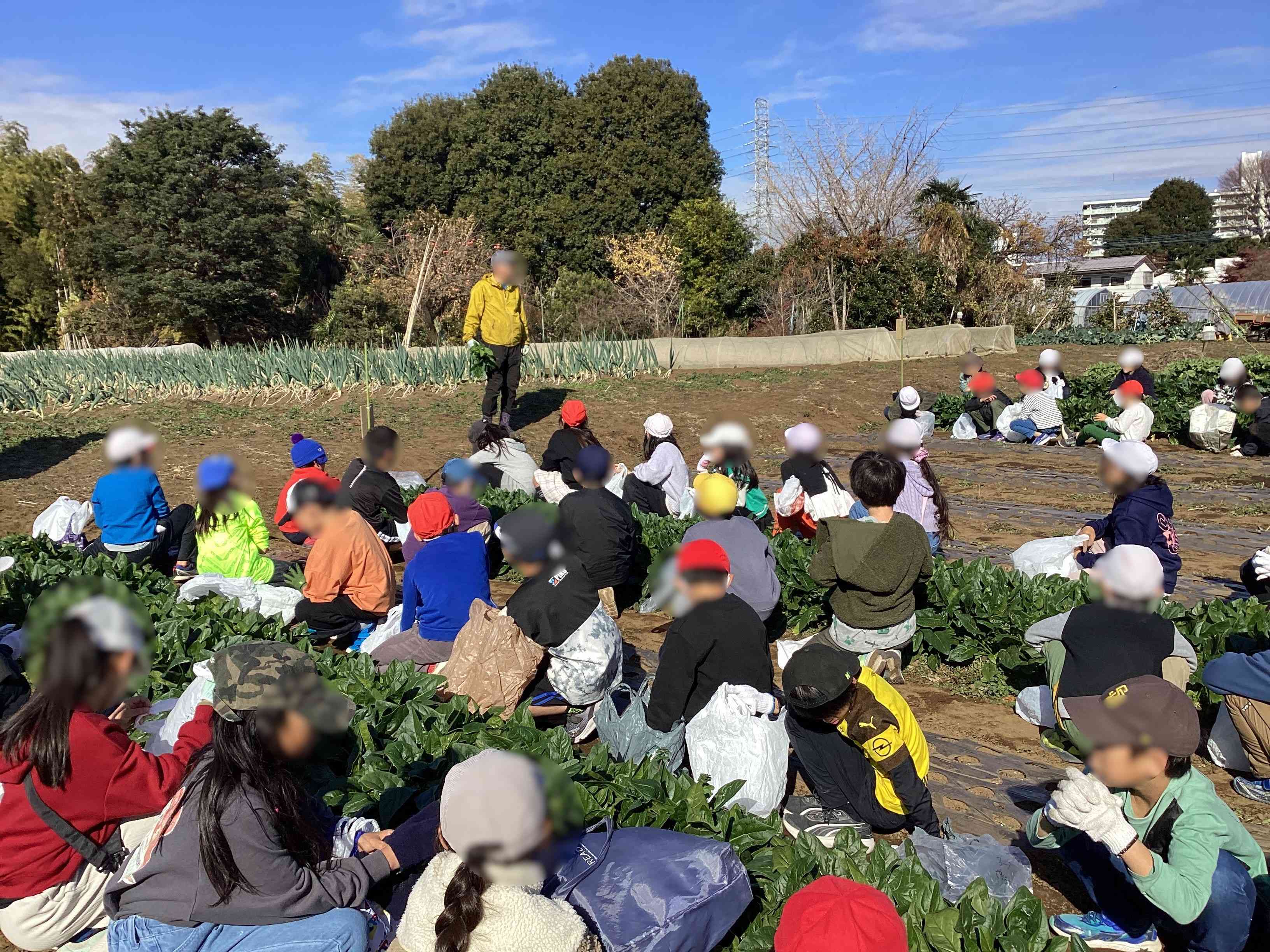 20251216_03_ほうれん草_01