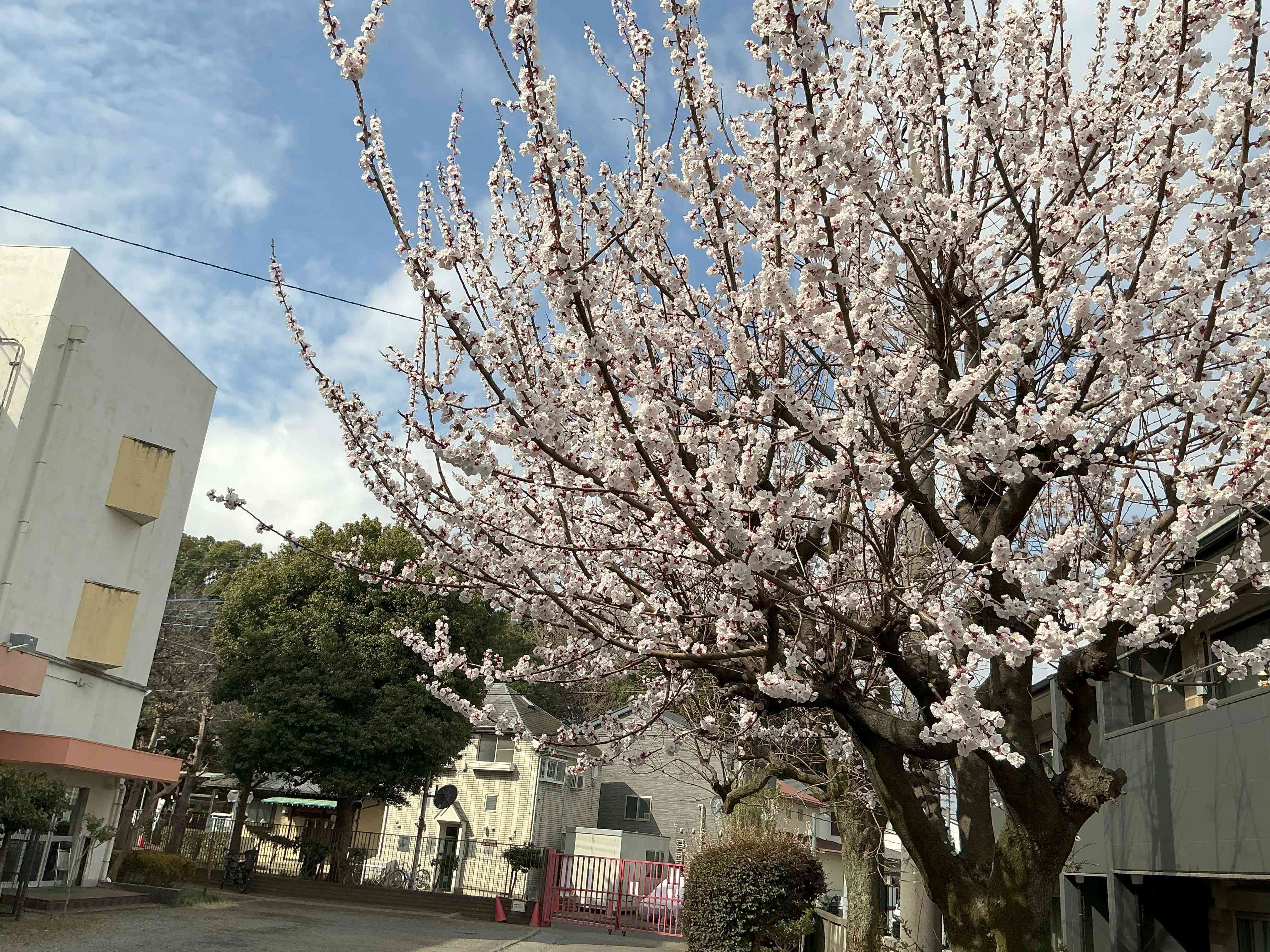 20260318_04_体育_03