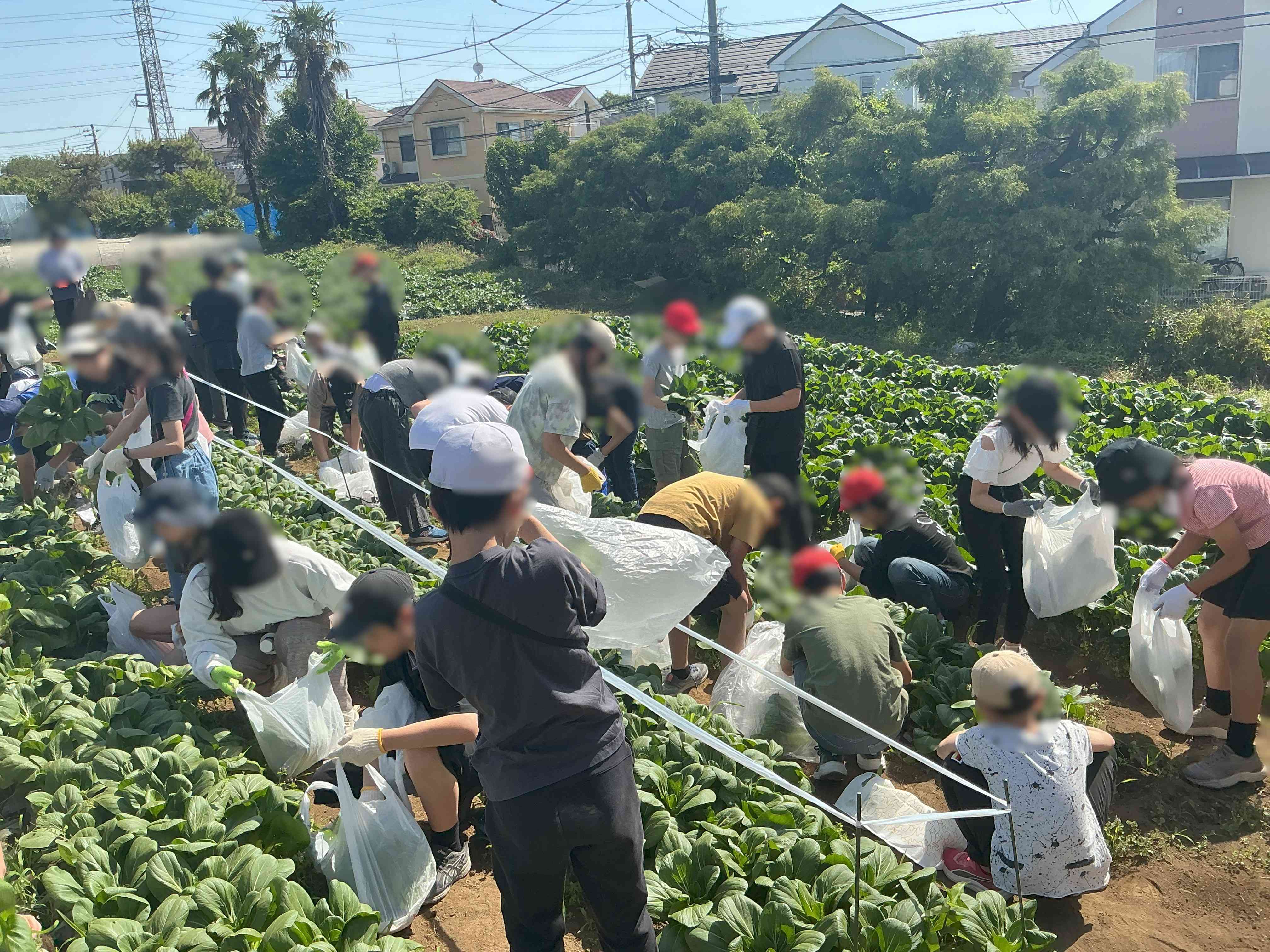 20260513_0406_農園_02