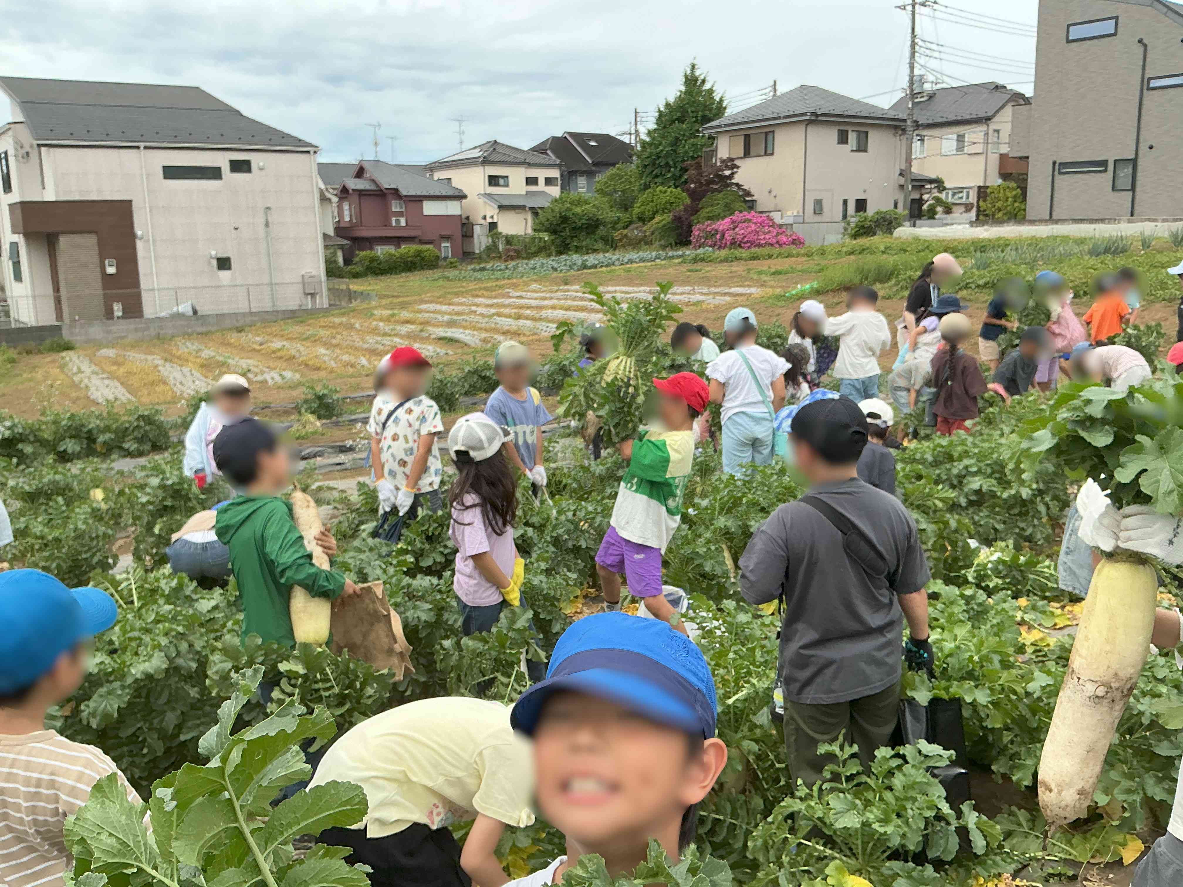 20260602_03_大根_03